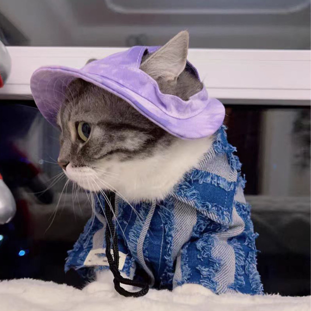 Personalized Embroidery Pet Sun Hat with Ear Holes | BKPet66