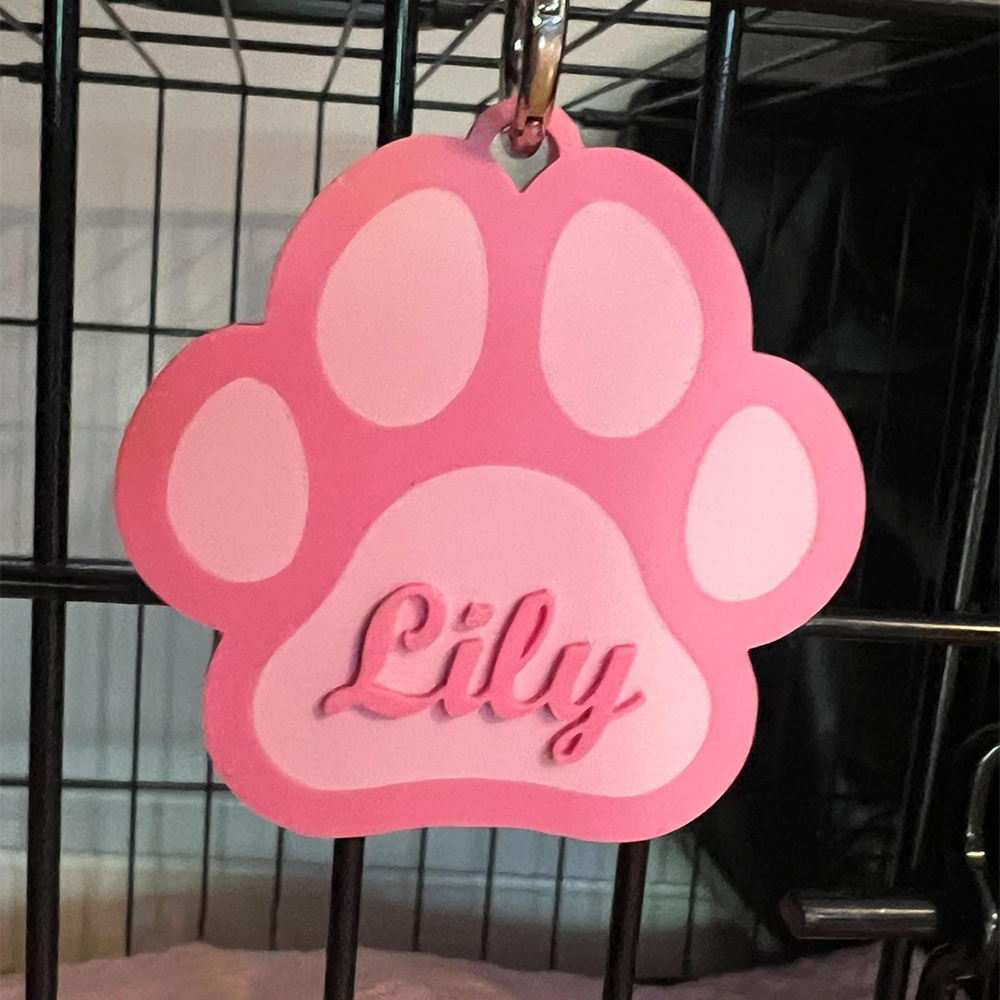 Personalized 3D Paw Print Name Crate Sign | BKPet374