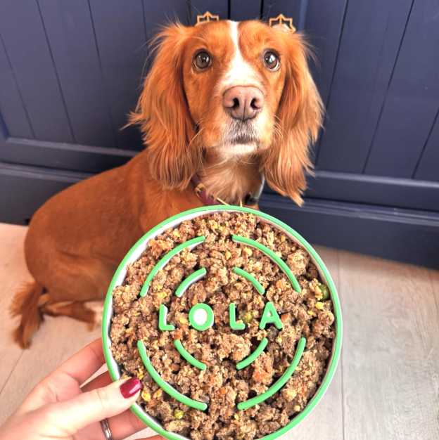 Personalized 3D Printed Dog Slow Feeder Bowl | BKPet354