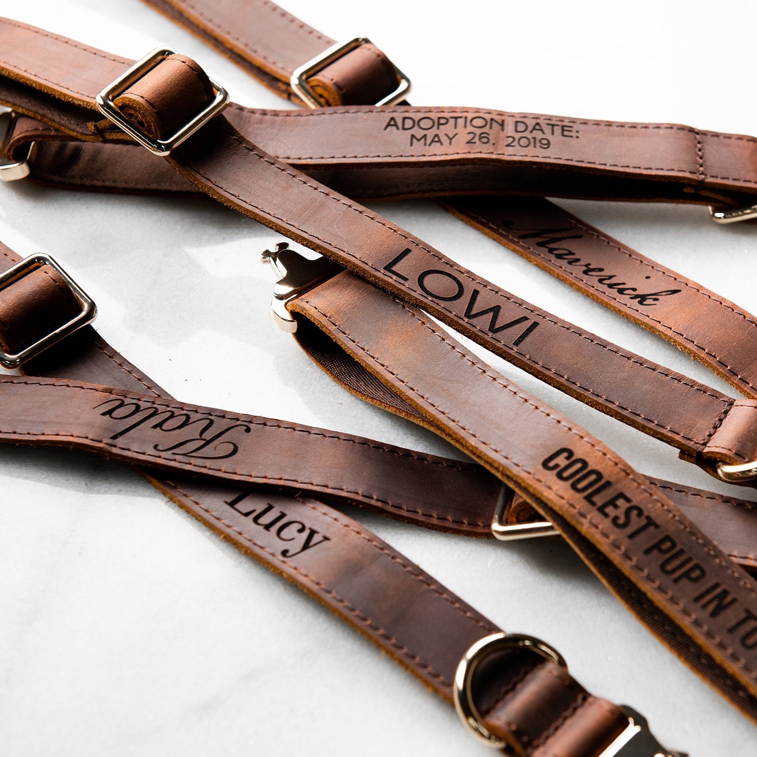 Personalized Name or Information Leather Pet Collar | BKPet151