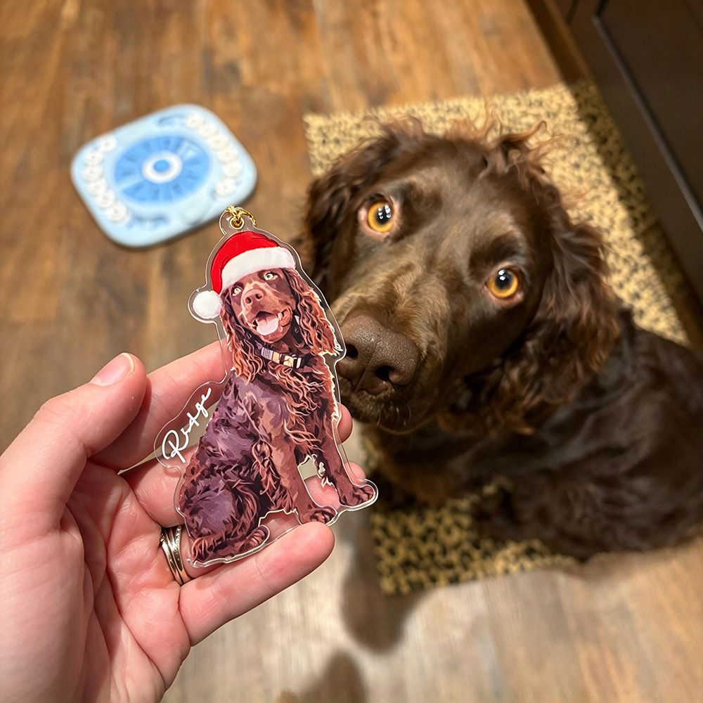 Personalized Acrylic Pets Christmas Tree Photo Ornament | MNGift47