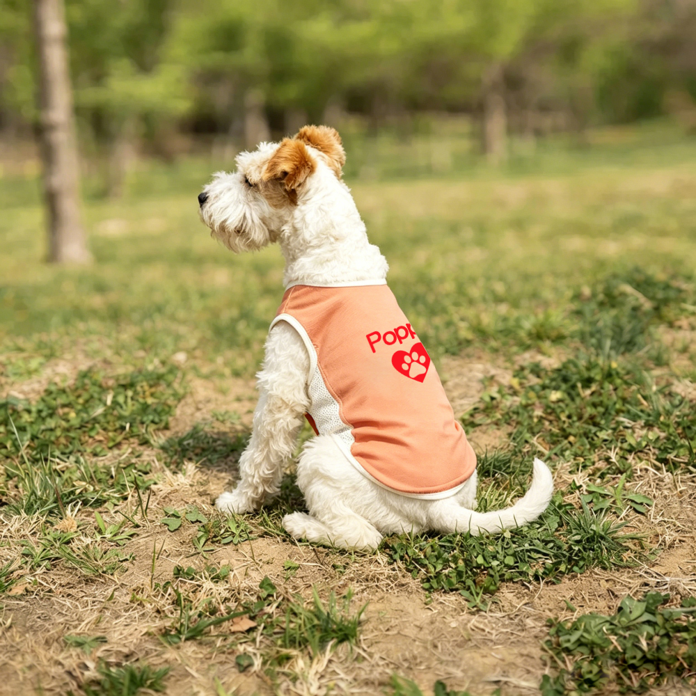 Personalized Summer Cooling Mesh Dog Vest | MNCloth223