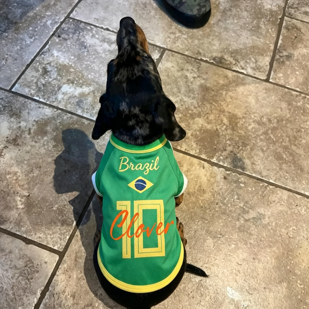 Personalized Dog & Cat Soccer Fan Sporty Vest | MNCloth216