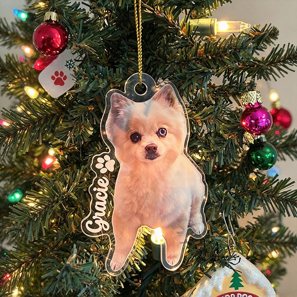 Personalized Pets Adorable Christmas Tree Photo Ornament | MNGift47