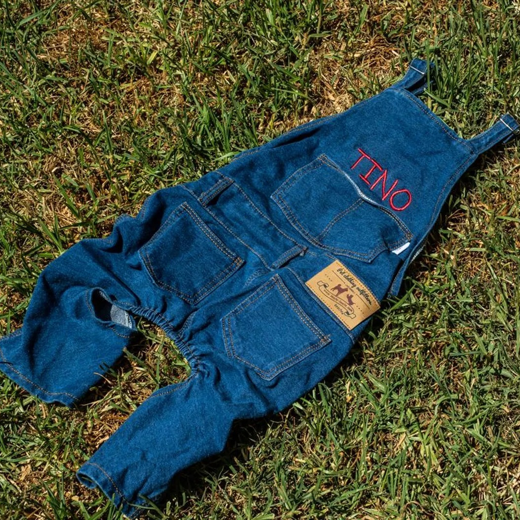 Personalized Leather Patch Pets Classic Overall Dungarees | MNCloth11601