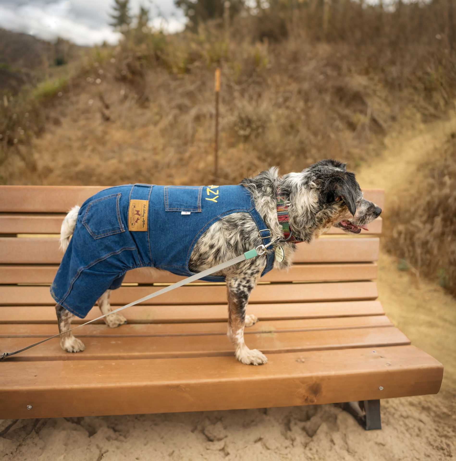 Personalized Leather Patch Pets Classic Overall Dungarees | MNCloth11601