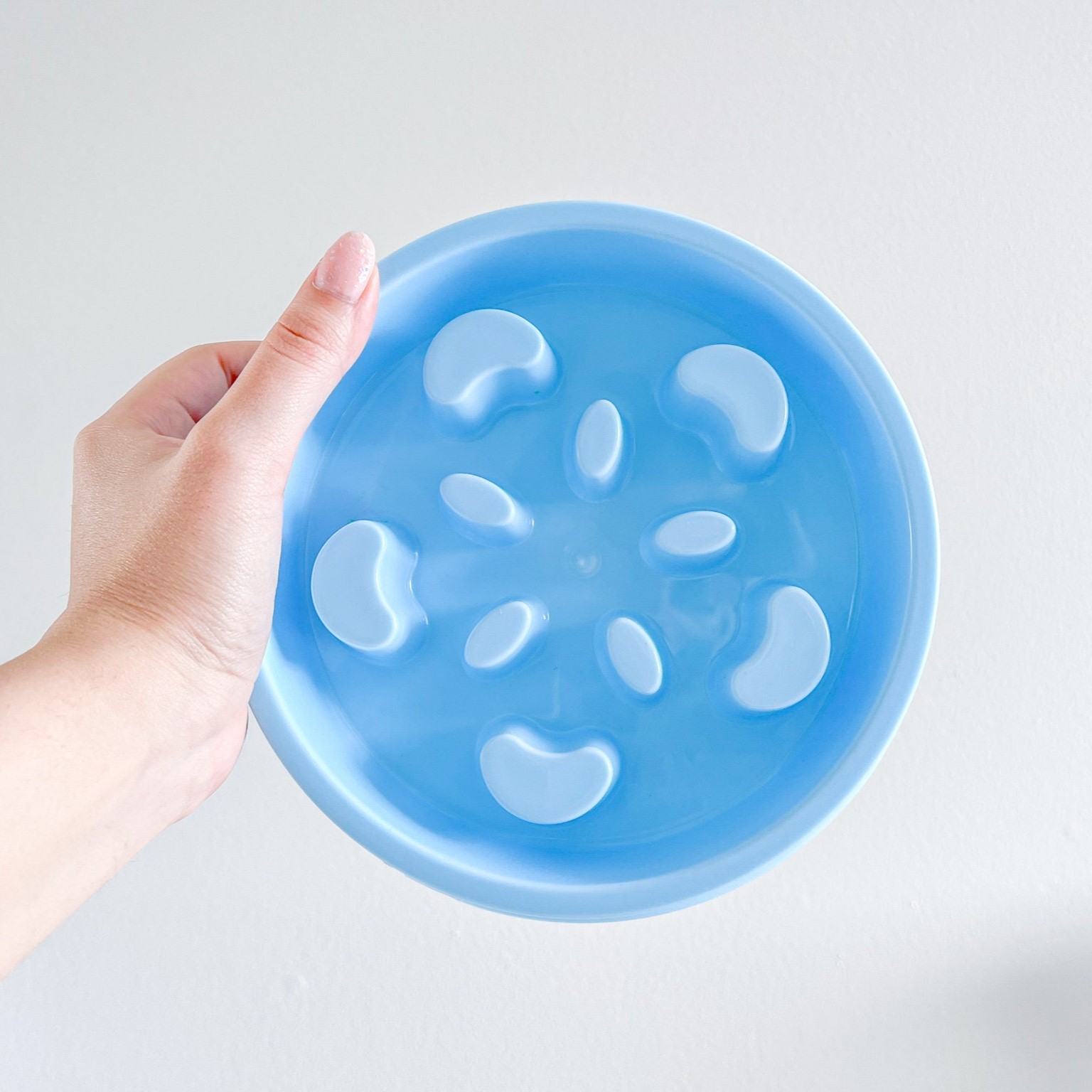 Personalized Anti-Choking Slow Feeder Pet Bowl | BKPet81