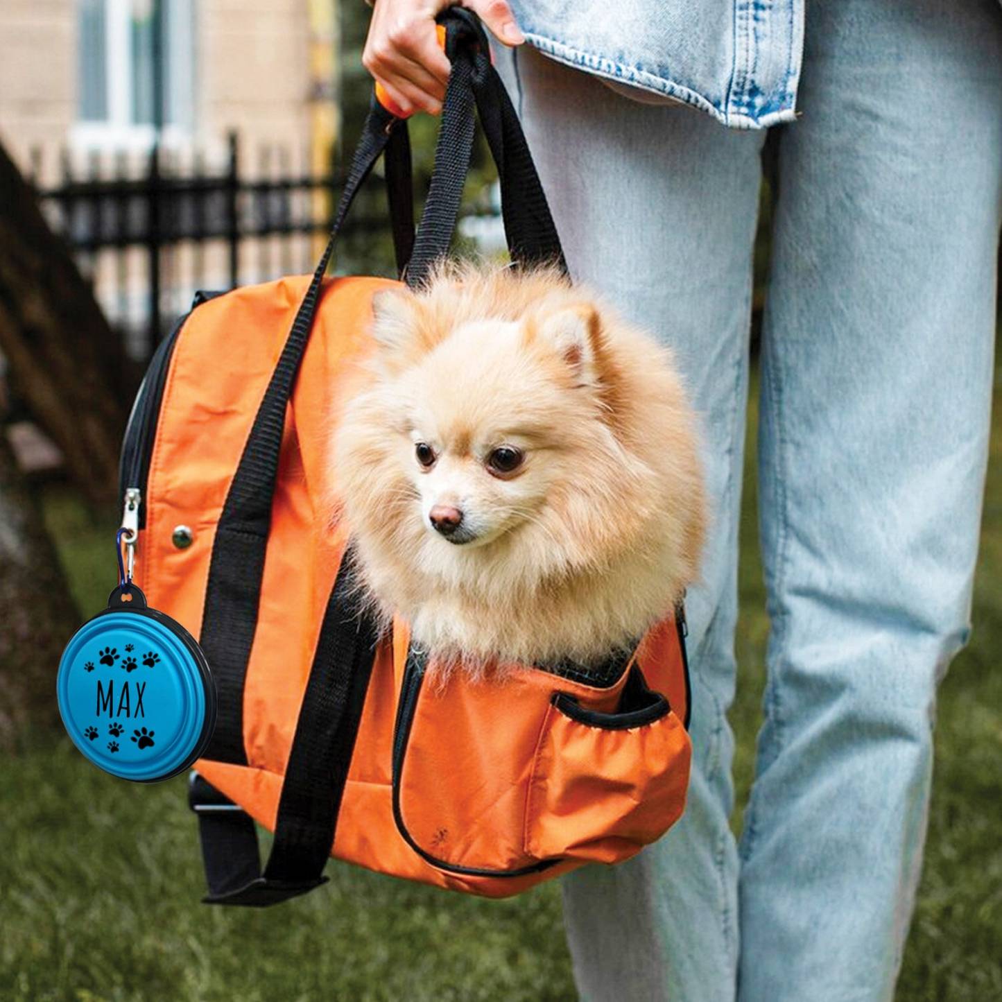 Personalized Silicone Foldable Travel Pet Bowl | BKPet79