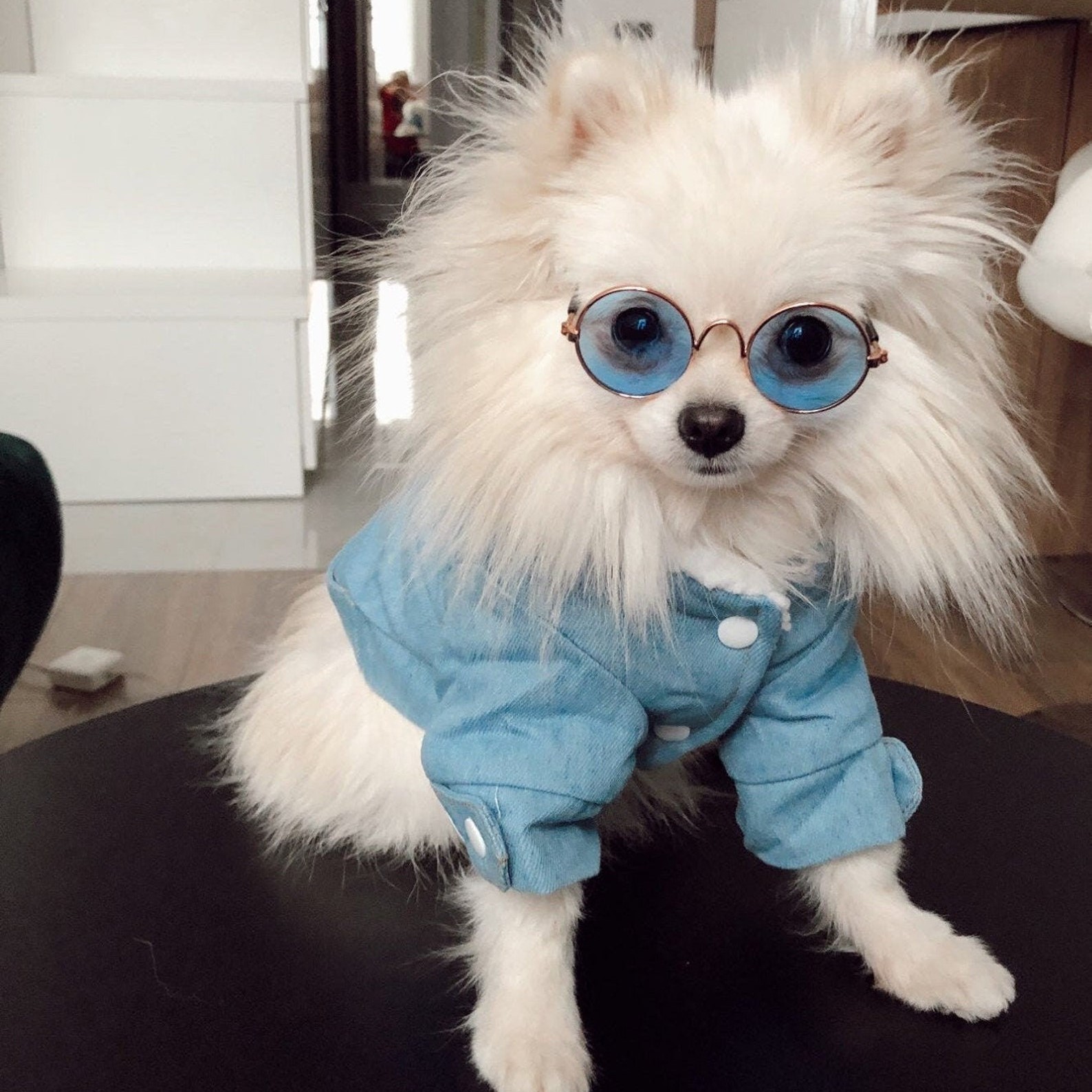 Personalized Leather Patch Pets Warm Denim Jacket | BKPet69