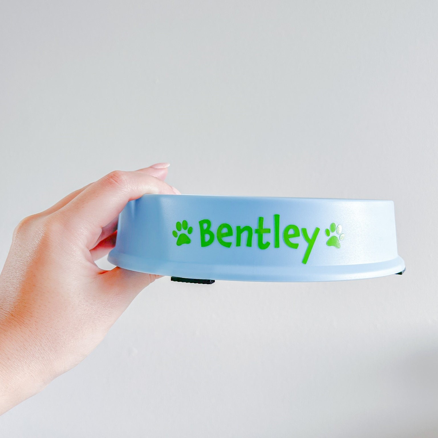 Personalized Anti-Choking Slow Feeder Pet Bowl | BKPet81