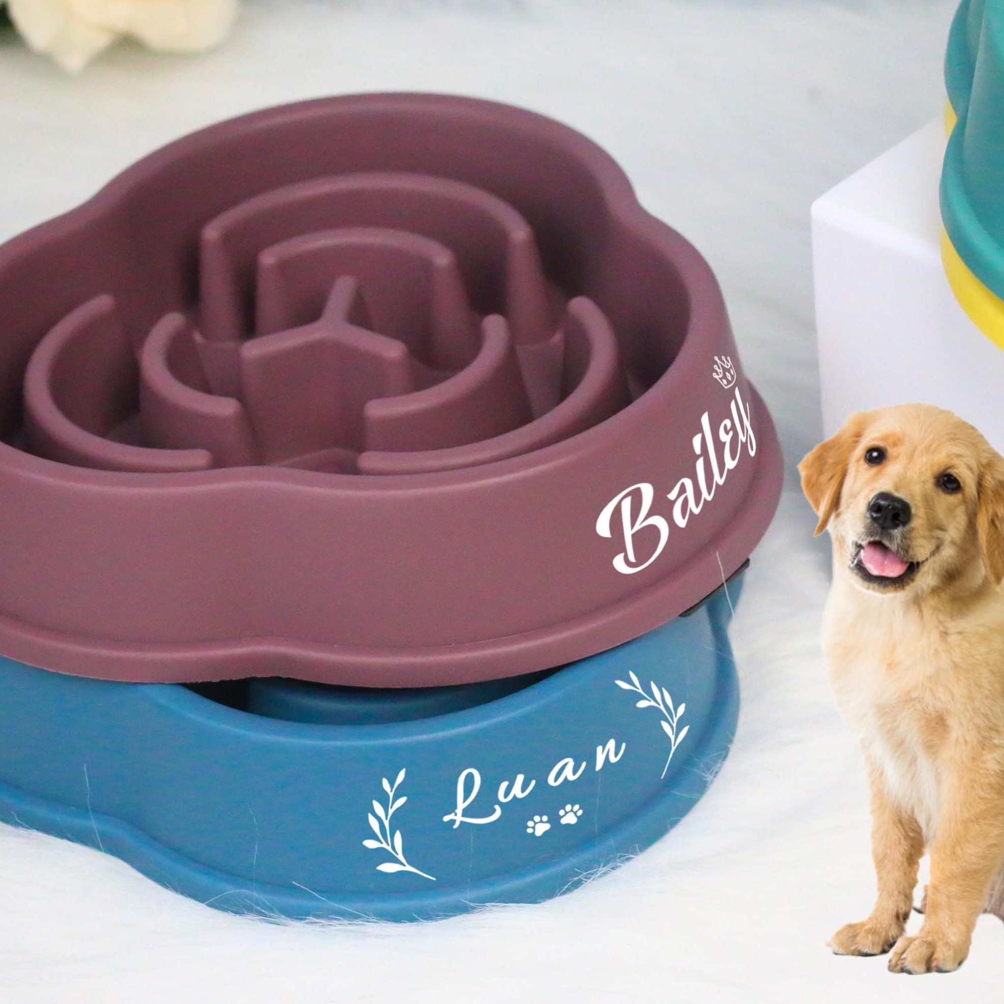 Personalized Anti-Choking Slow Feeder Pet Bowl | BKPet94