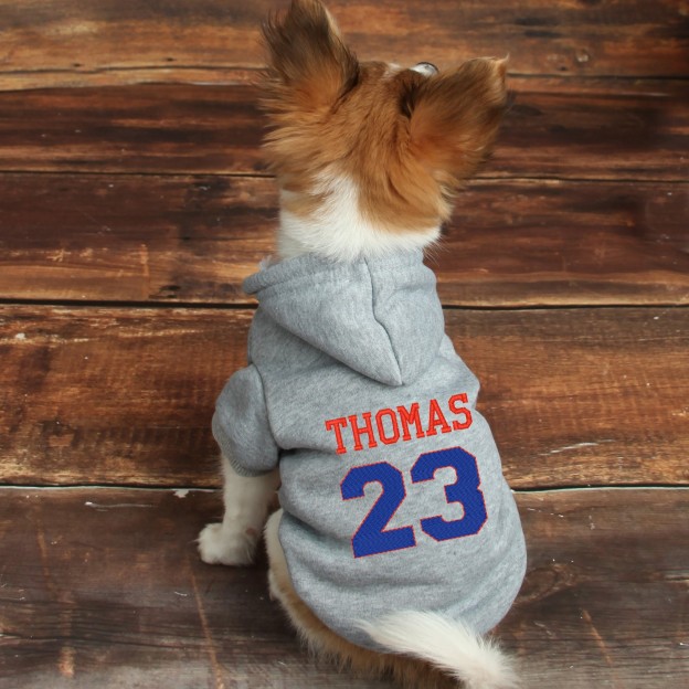 Personalized Warm Puppy Hoodie for Comfort & Unique | BKPet28