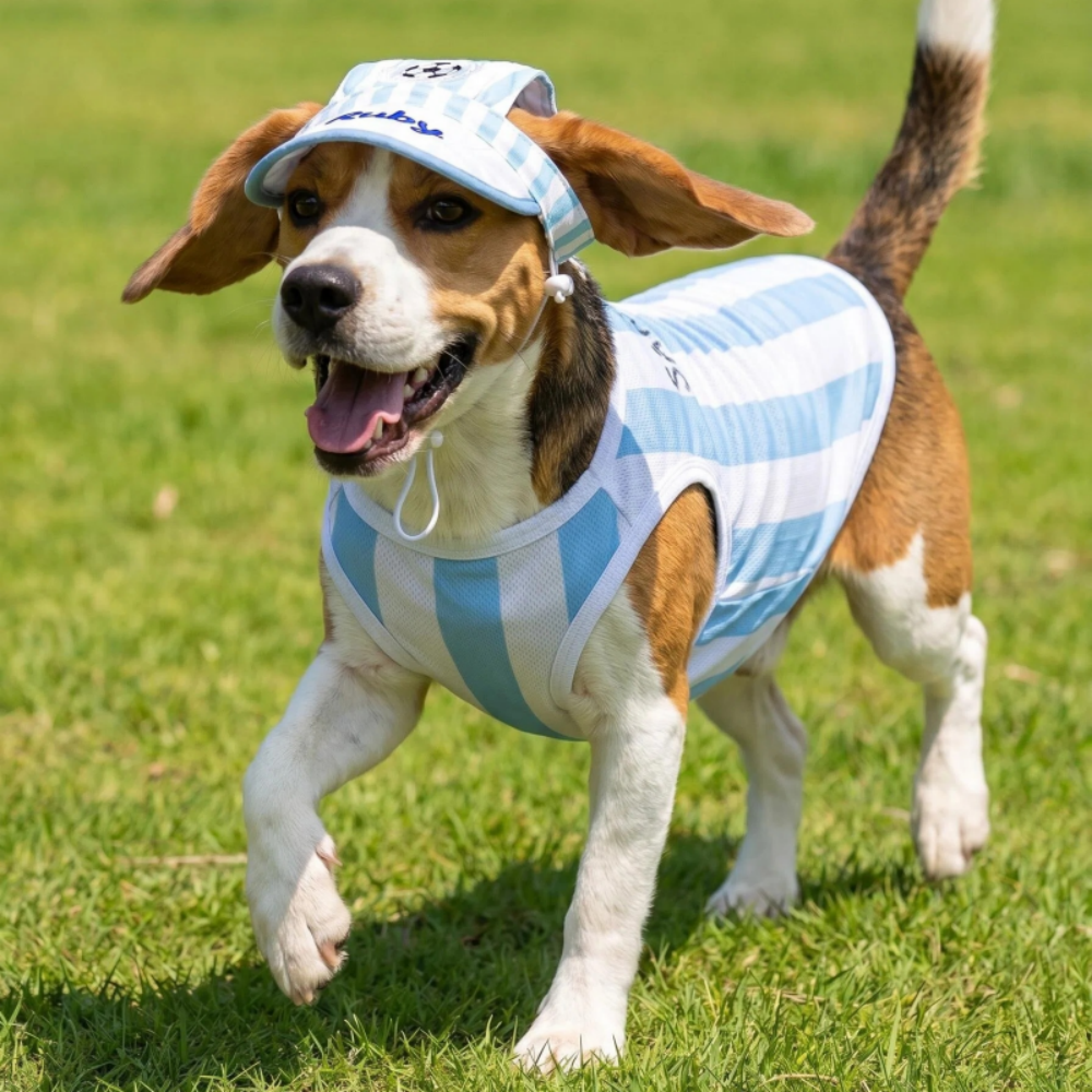Personalized Embroidery Football Pet Hat with Ear Holes | MNAccs100