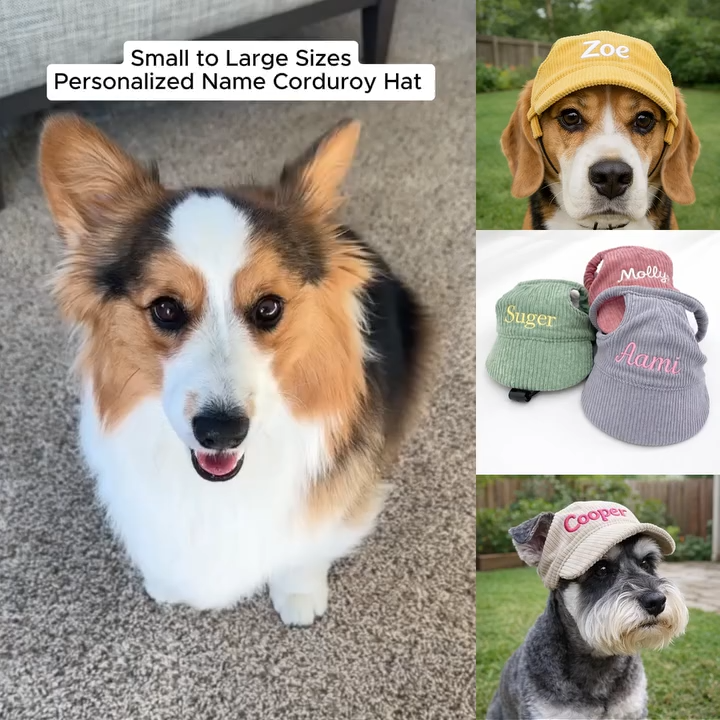 Personalized Embroidery Corduroy Adjustable Pet Pet Baseball Cap | MNAccs75