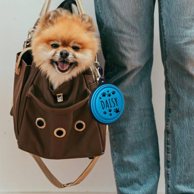 Personalized Silicone Foldable Travel Pet Bowl | BKPet79