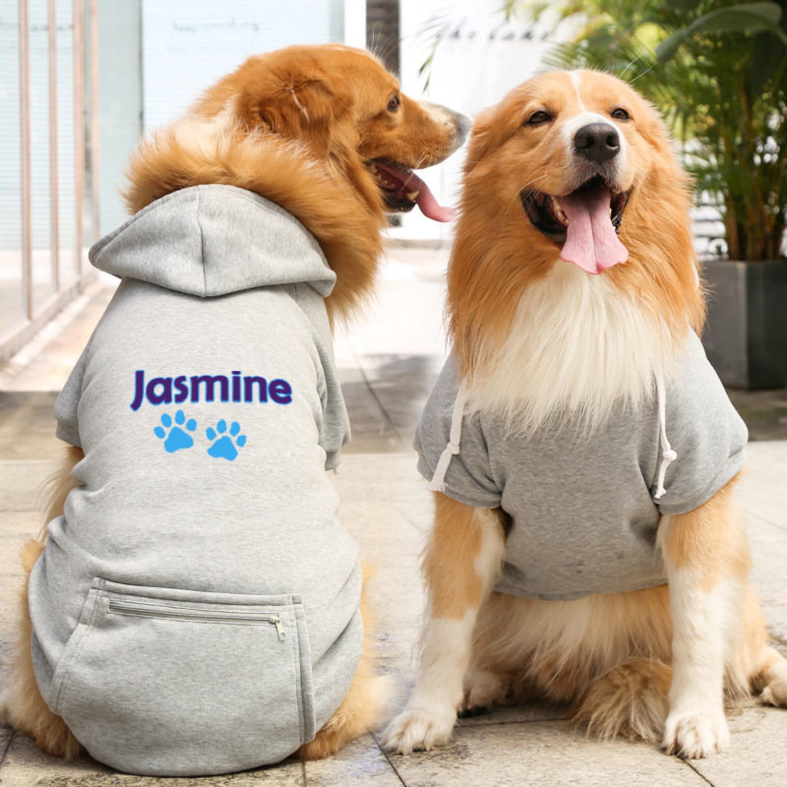 Personalized Warm Puppy Hoodie for Comfort & Unique | BKPet100