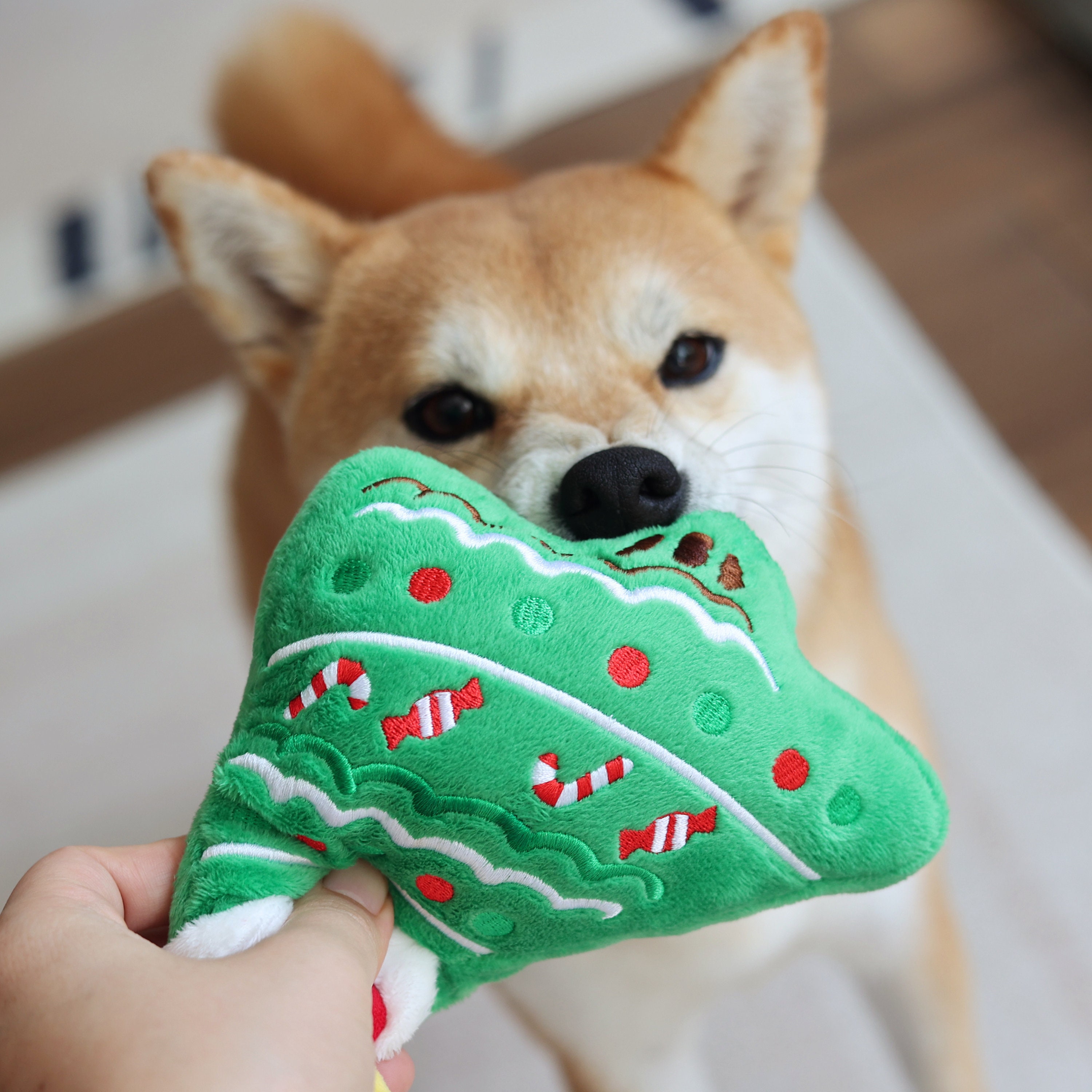 Christmas Tree Dog Plush Squeaky Toys | BKPet133