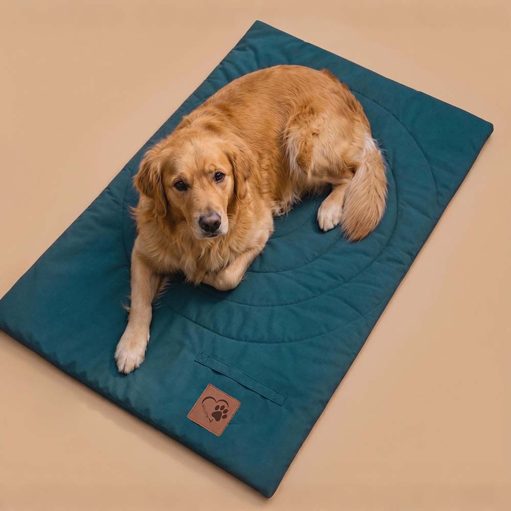 Personalized Portable Roll-Up Pet Mat | BKPet619
