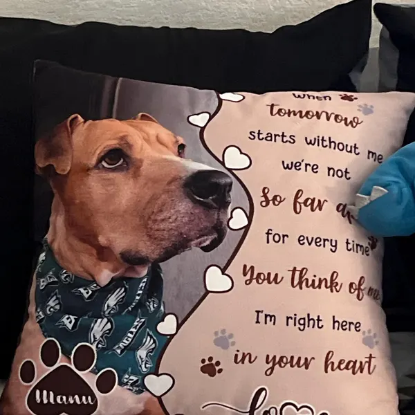 Personalised Pet Loss Gift Memorial Cushion | MNMemo22