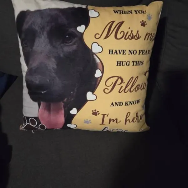 Personalised Pet Loss Gift Memorial Cushion | MNMemo22