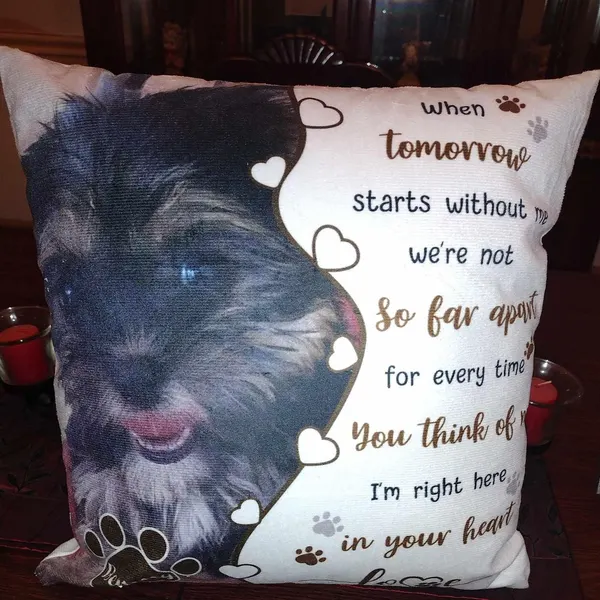 Personalised Pet Loss Gift Memorial Cushion | MNMemo22