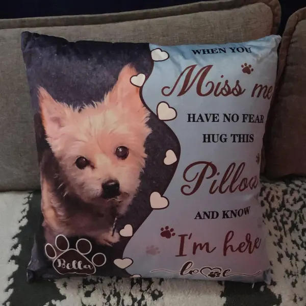 Personalised Pet Loss Gift Memorial Cushion | MNMemo22