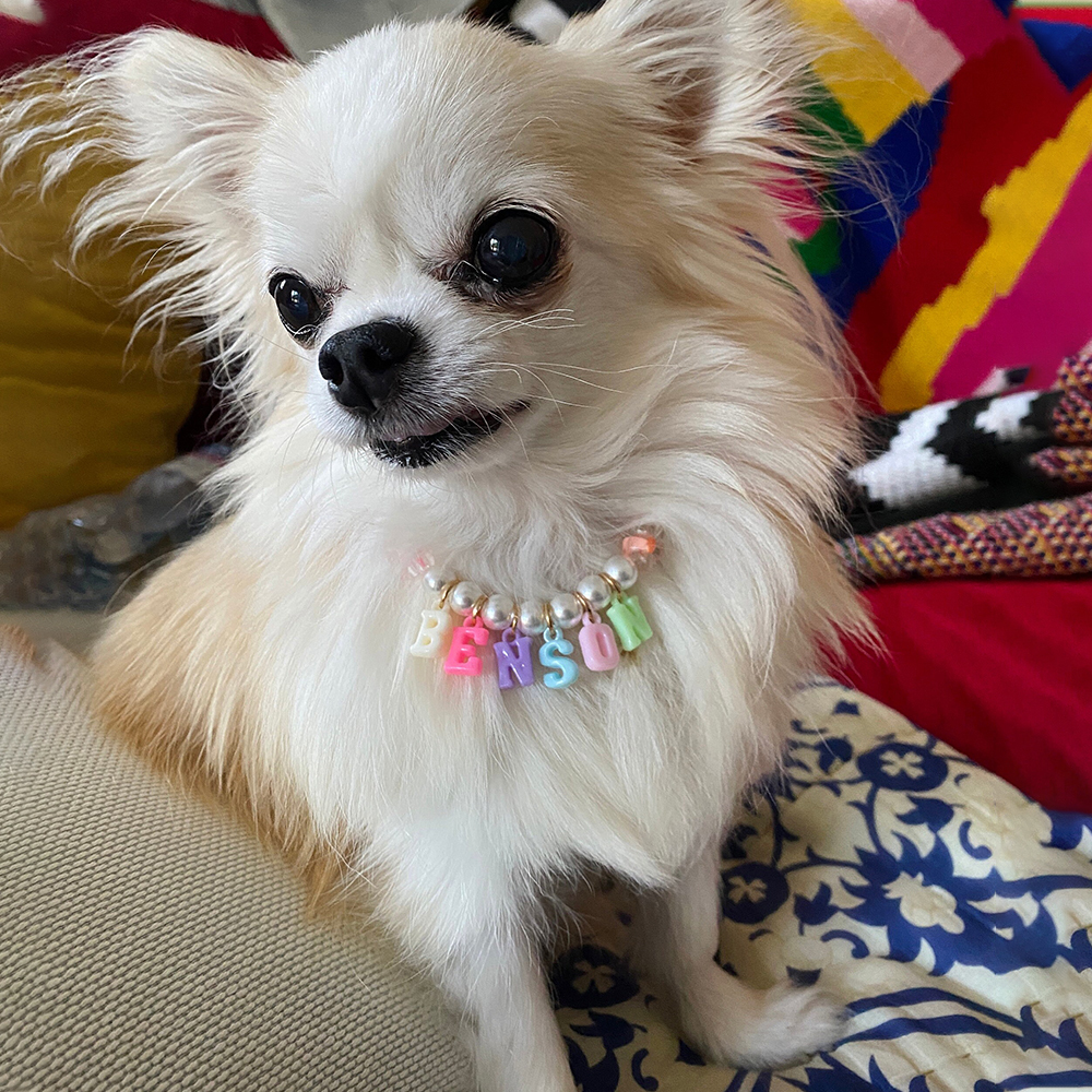 Personalized Handmade Pet Gift Pearl Necklace | BKPet171
