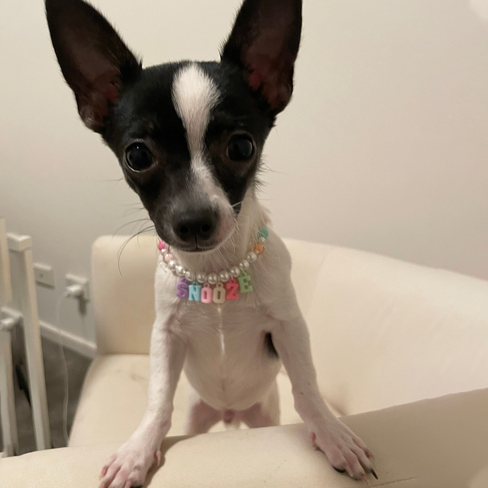 Personalized Handmade Pet Gift Pearl Necklace | BKPet171