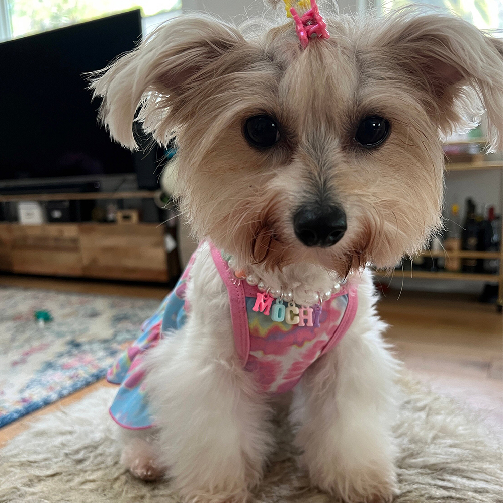 Personalized Handmade Pet Gift Pearl Necklace | BKPet171