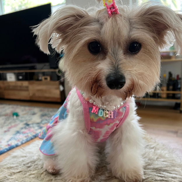 Personalized Handmade Pet Gift Pearl Necklace | BKPet171