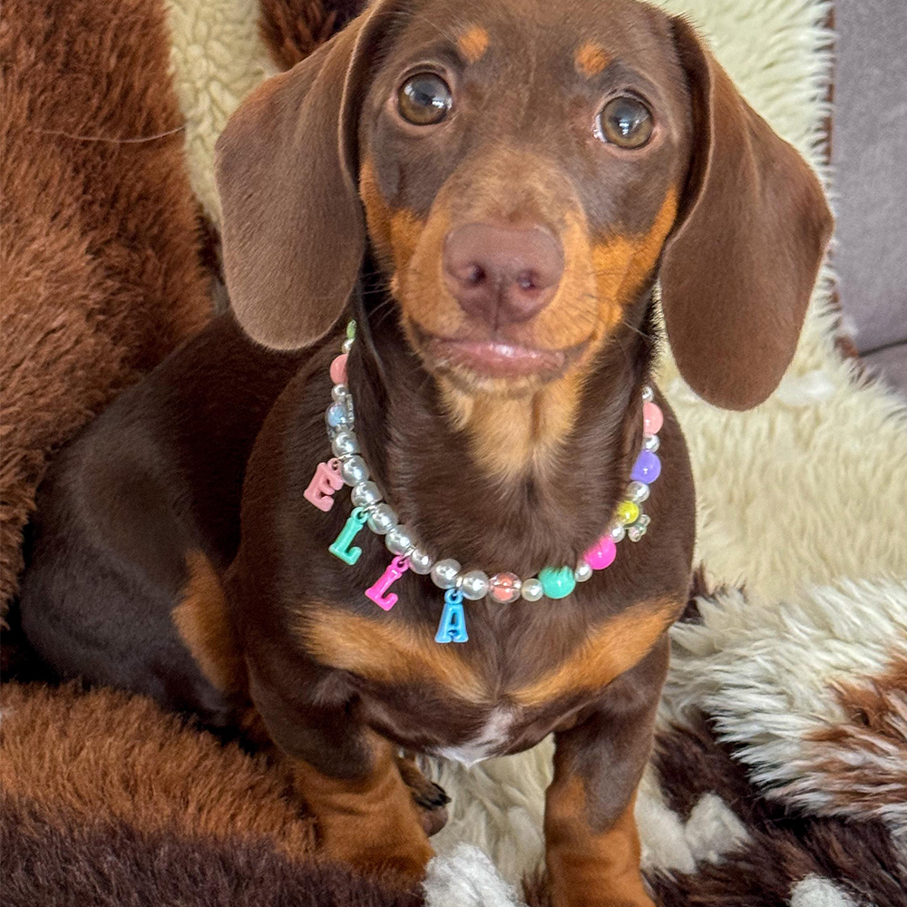 Personalized Handmade Pet Gift Pearl Necklace | BKPet171