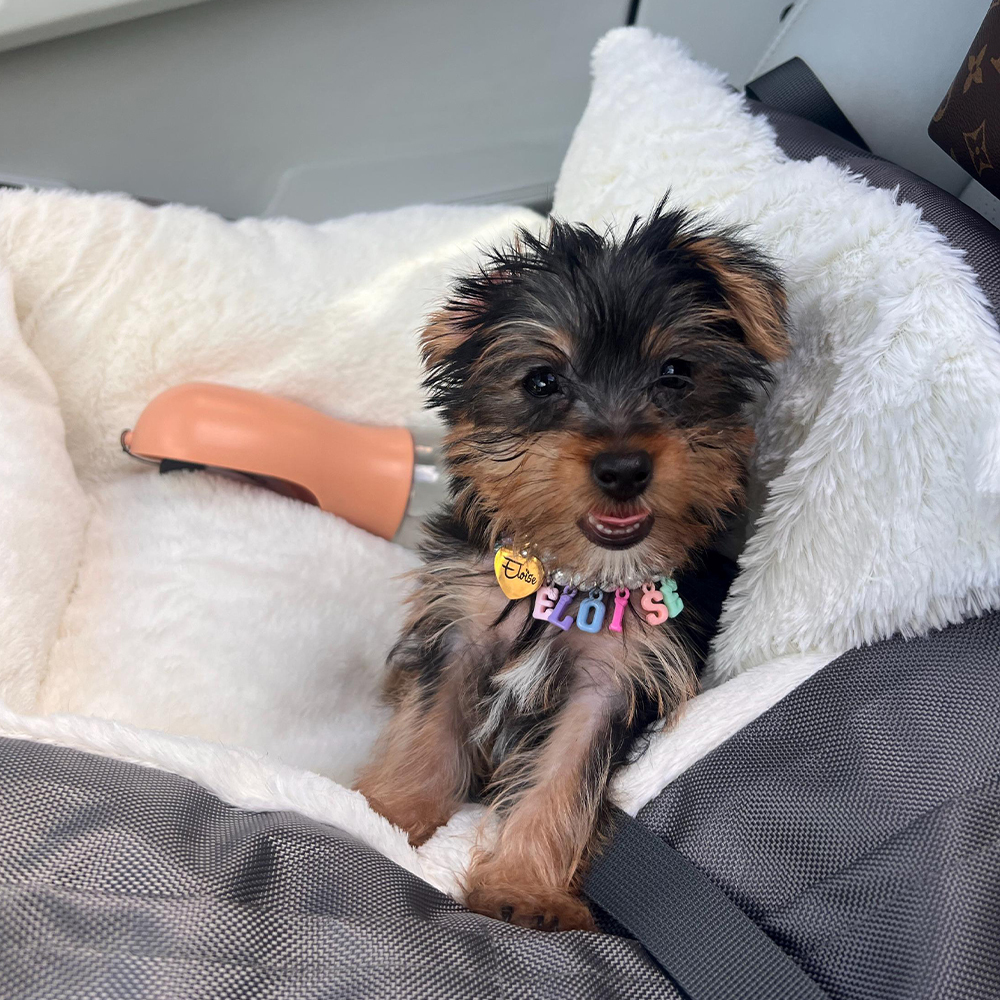 Personalized Handmade Pet Gift Pearl Necklace | BKPet171