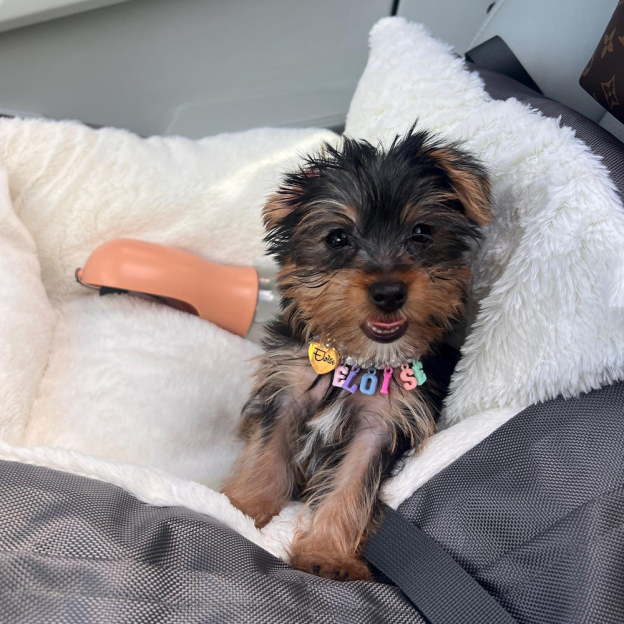 Personalized Handmade Pet Gift Pearl Necklace | BKPet171