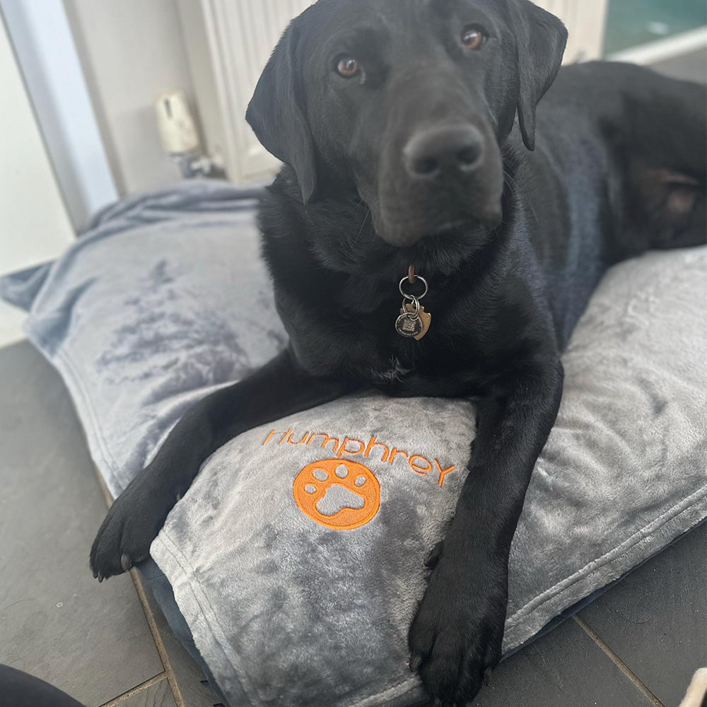 Personalized Warm Pet Blanket for Comfort & Unique | BKPet239