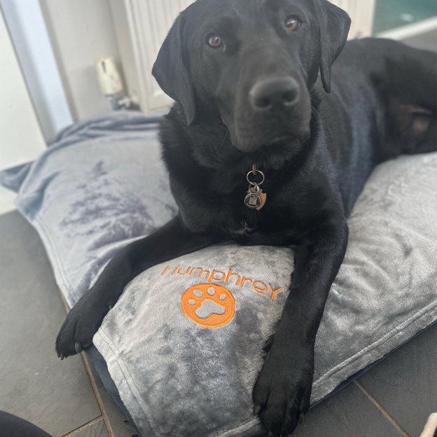 Personalized Warm Pet Blanket for Comfort & Unique | BKPet239