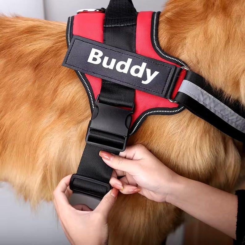 Personalized Explosion-Proof Reflective Dog Harness | MNAccs110