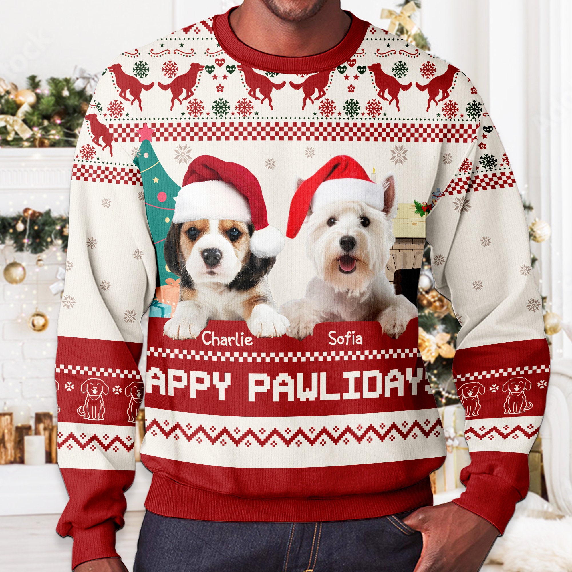 Personalized Christmas Fun Pet Photo Family Sweater | MCCL02