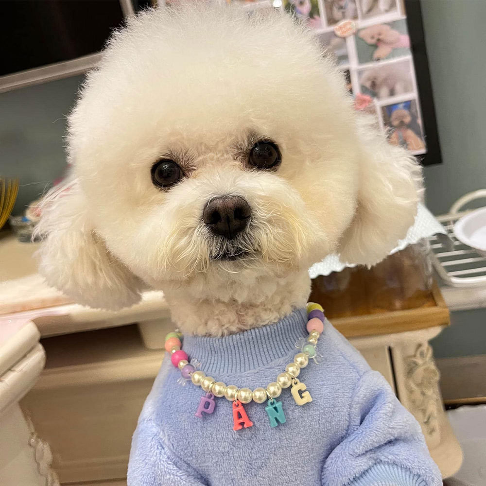 Personalized Handmade Pet Gift Pearl Necklace | BKPet171