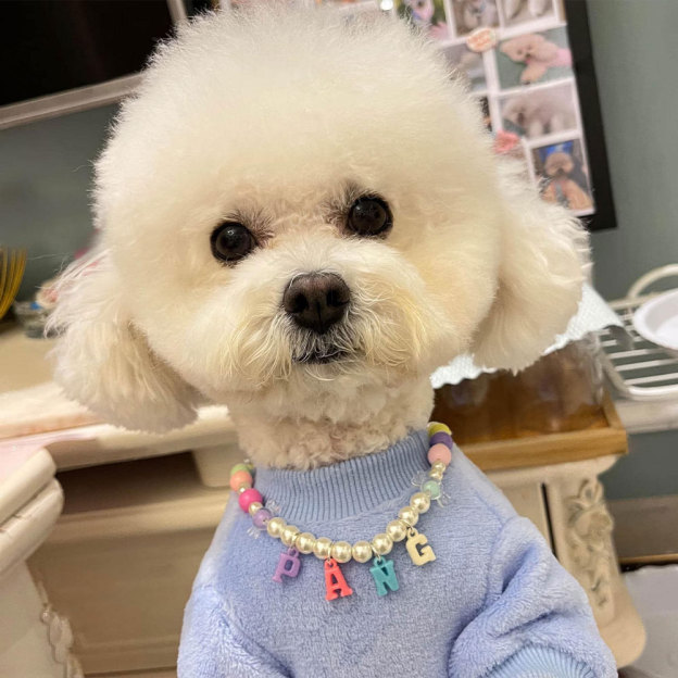 Personalized Handmade Pet Gift Pearl Necklace | BKPet171