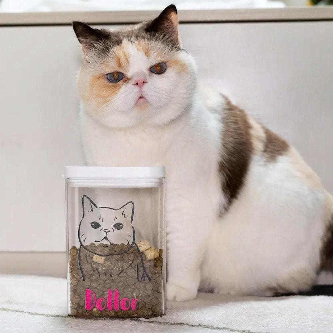 Personalized Pet Portrait Clear Treat Storage Box | BKPet292