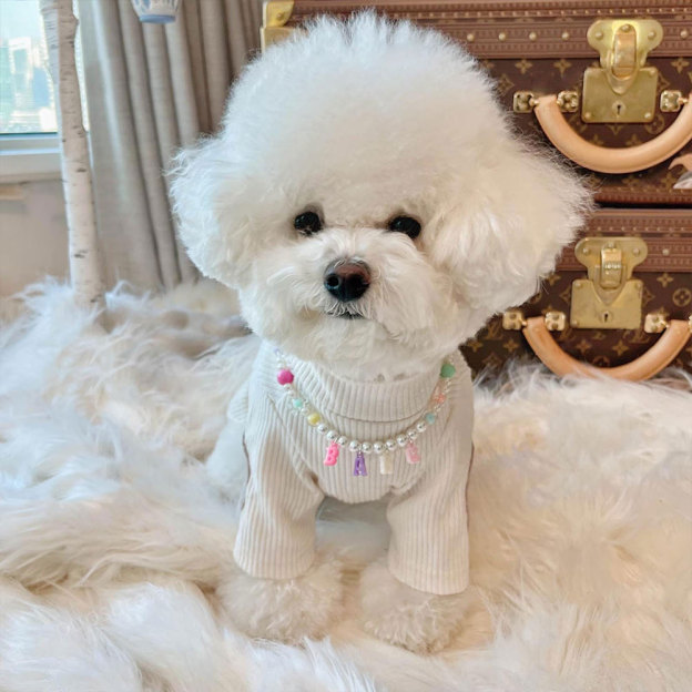 Personalized Handmade Pet Gift Pearl Necklace | BKPet171