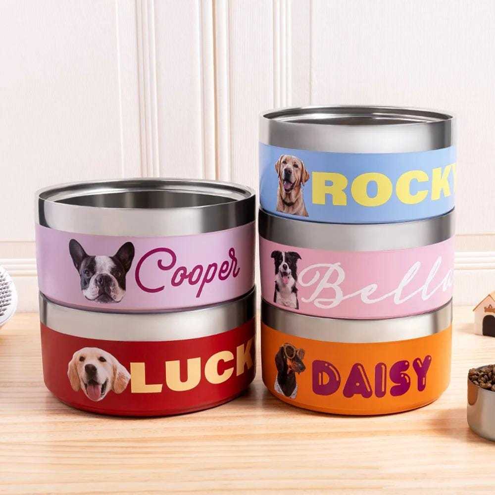 Personalized Stainless Steel Funny Pet Face with Name Food Bowl | BKPet306