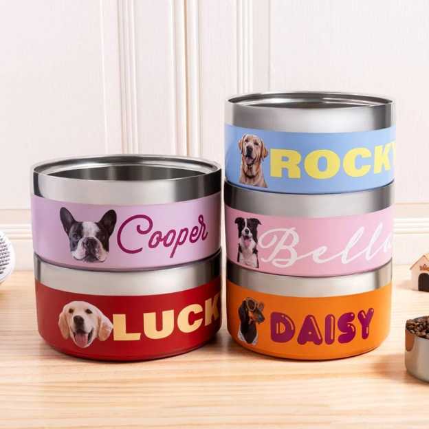 Personalized Stainless Steel Funny Pet Face with Name Food Bowl | BKPet306