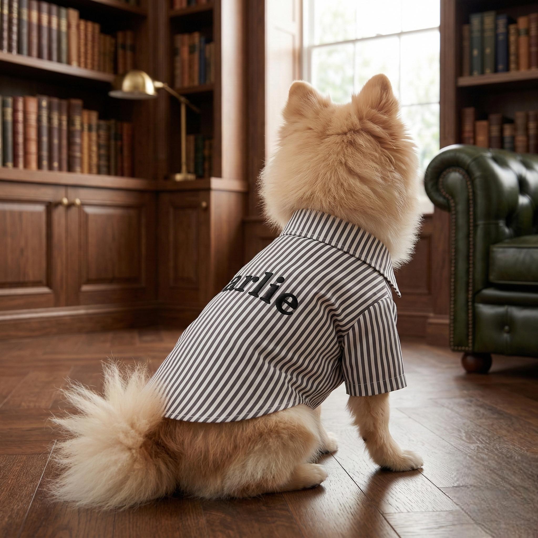 Personalized Embroidery Gentleman Pet Stripe Shirt | BKPet454