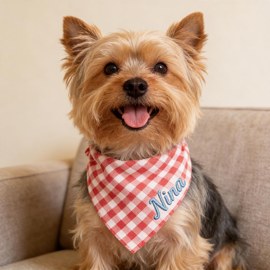 Personalized Embroidered Pet Elasticity Plaid Bandana | BKPet461
