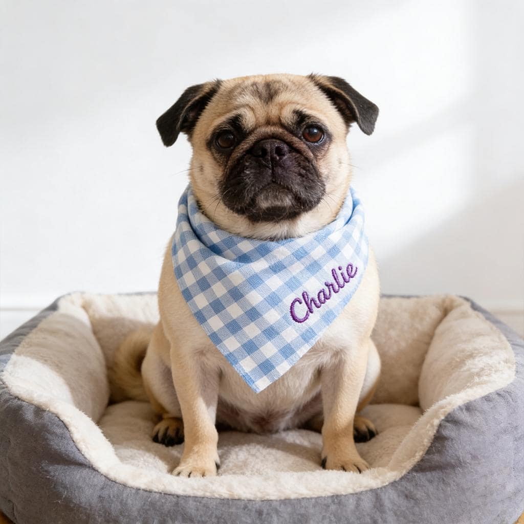 Personalized Embroidered Pet Elasticity Plaid Bandana | BKPet461