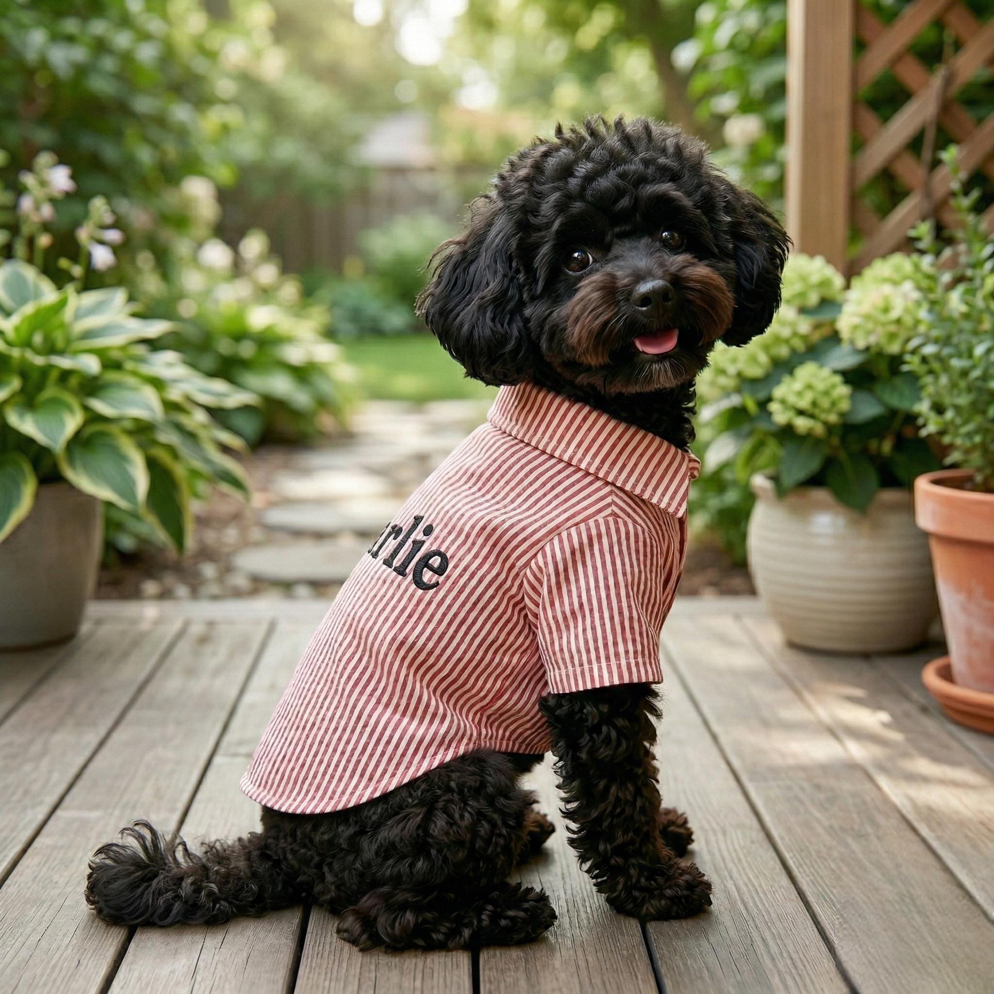 Personalized Embroidery Gentleman Pet Stripe Shirt | BKPet454