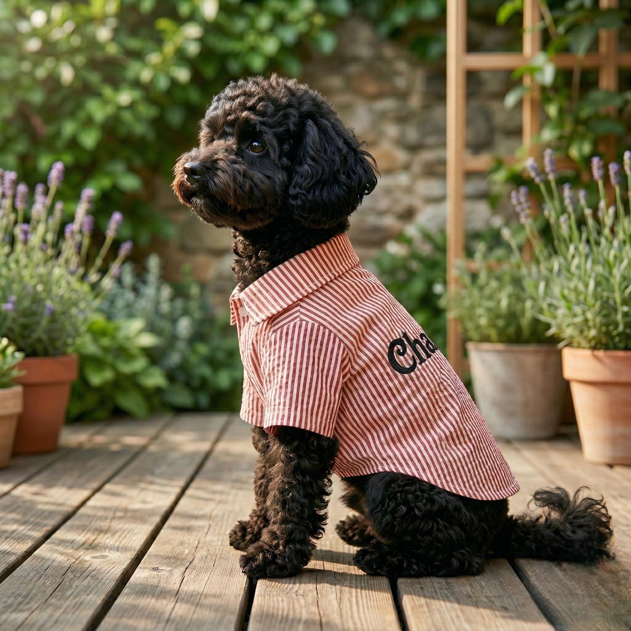 Personalized Embroidery Gentleman Pet Stripe Shirt | BKPet454