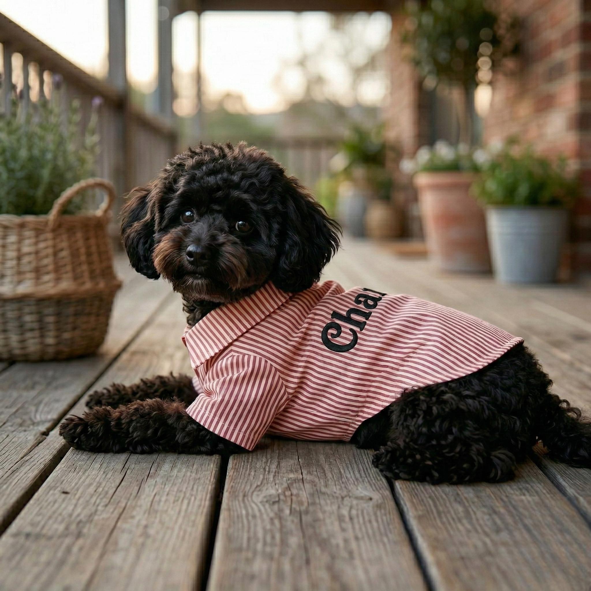 Personalized Embroidery Gentleman Pet Stripe Shirt | BKPet454