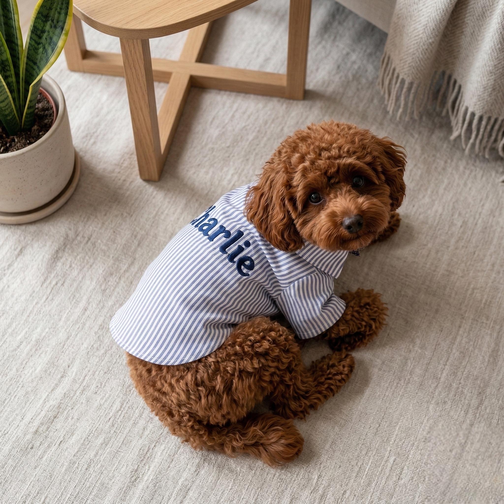 Personalized Embroidery Gentleman Pet Stripe Shirt | BKPet454